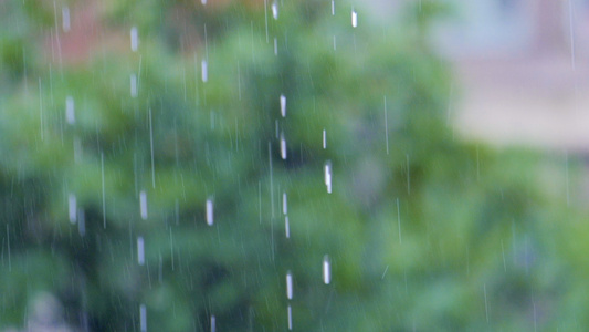 唯美雨景雨珠特写视频