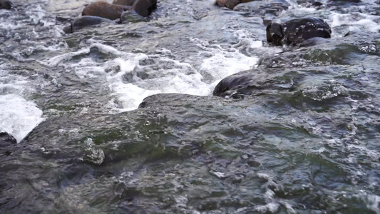 流水小河清澈水流升格视频视频