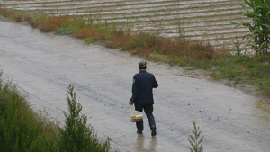 农村农民道路田地行走孤独下雨21秒视频