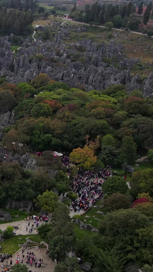 国内喀斯特全景航拍石林全景35秒视频