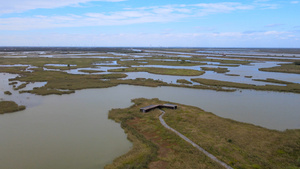 4A风景区丹顶鹤湿地生态旅游区107秒视频