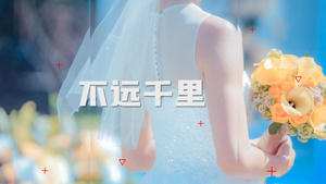  简洁时尚婚礼婚庆快闪开场展示23秒视频