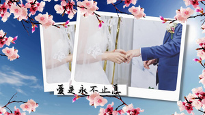 浪漫婚礼相册展示唯美花朵59秒视频