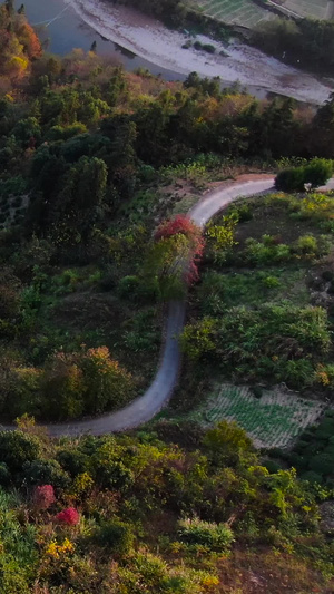 航拍安徽皖南山脉群山中的秋色视频自然风光57秒视频