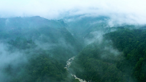 4k航拍峨眉山云雾缭绕河流美景55秒视频