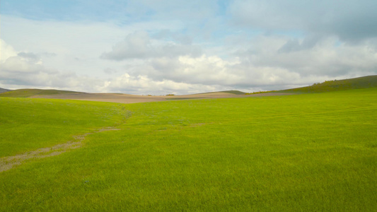 内蒙古呼伦贝尔大草原[内蒙古地区]视频