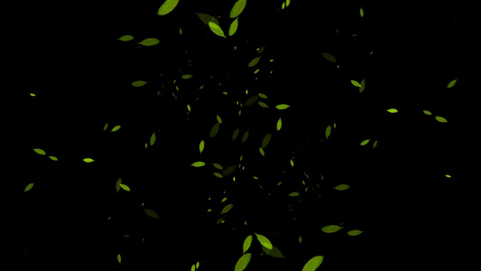 绿叶转场素材视频