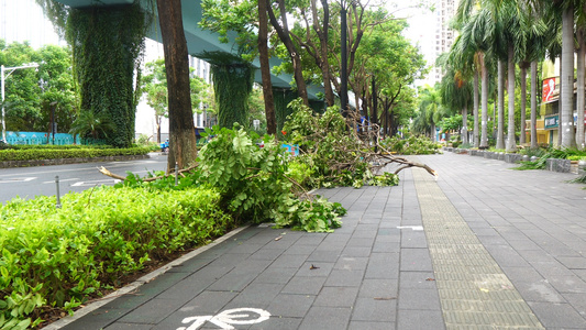 台风过后的街道合集4K视频