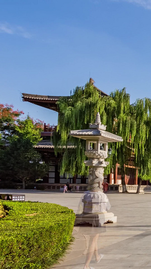 西安青龙寺遗址博物馆古源楼蓝天白云延时延时摄影15秒视频