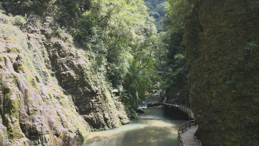 航拍国家5A级旅游景区重庆黑山谷峡谷溪流视频