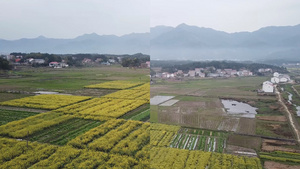 【旅游宣传片】4K湖南航拍南岳衡山田园合集99秒视频