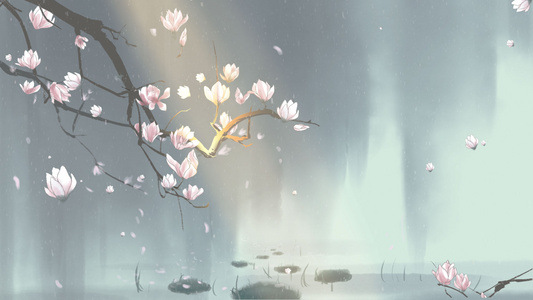 中国风手绘玉兰花背景视频