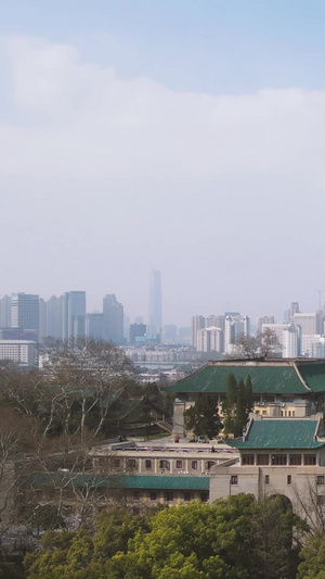 航拍武汉大学樱花季樱花大道素材64秒视频