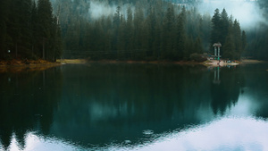 野雾林中的蓝湖17秒视频