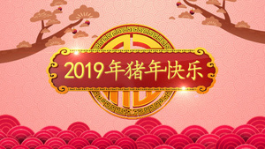 2019年猪年新年晚会片头模板12秒视频