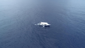 马尔代夫出海潜水23秒视频