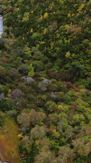 航拍山谷中蜿蜒的河流公路公路运输49秒视频