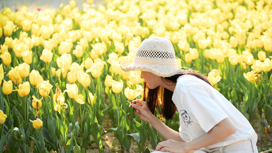 少女闻郁金香花香4K视频