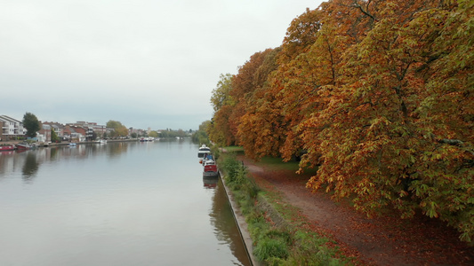 秋叶树的空中风景景观沿云层下一条河流视频