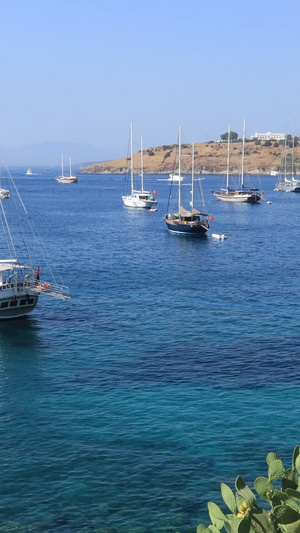 蓝色地中海上停泊的帆船实拍视频旅游度假65秒视频