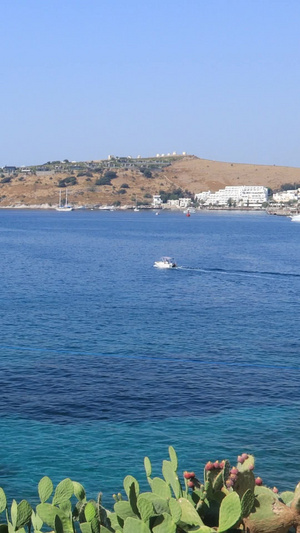 蓝色地中海上停泊的帆船实拍视频世界环保日65秒视频