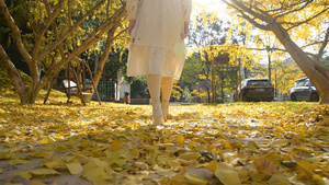 4K秋天的银杏叶与少女12秒视频