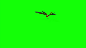 3D飞龙的成像动画14秒视频