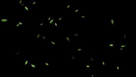 4K绿叶飘落粒子AE元素带通道视频
