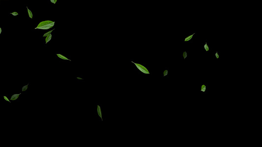 4K粒子绿叶飘落动画元素带通道视频