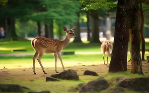 鹿在奈良公园日本4秒视频