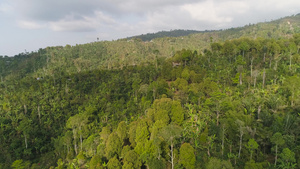 雨林和山丘33秒视频