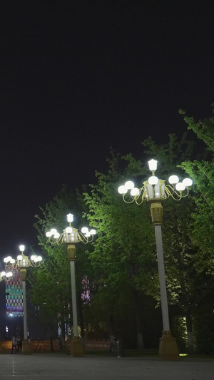 武汉地标历史博物馆建筑夜景街景人流素材夜景素材55秒视频