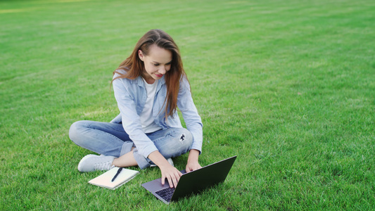 在夏日公园绿草坪上工作 做笔记本电脑的快乐女人视频
