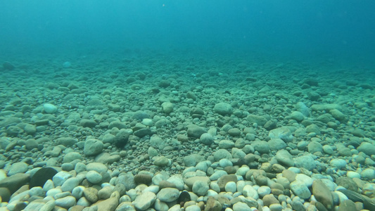 令人惊叹的蓝海水下景象视频