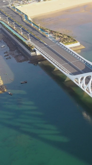 青岛城市风光网红景点珊瑚贝桥航拍视频星光岛49秒视频
