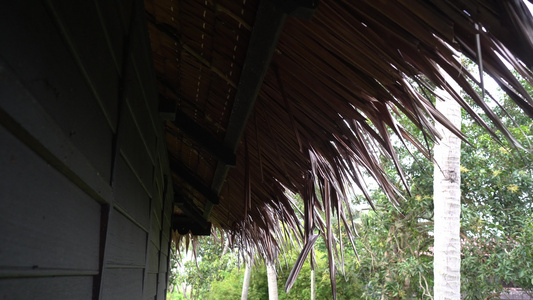 Malays kampung 房屋屋顶视频