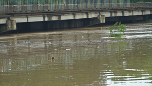 洪水淹没了河桥的洪泛30秒视频
