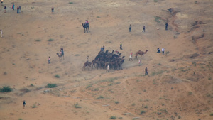 印度沙漠骆驼节16秒视频
