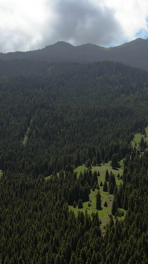 航拍5A风景名胜区天山天池景区马牙山视频大自然75秒视频