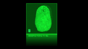 绿色科技指纹扫描结果为成功匹配动画效果18秒视频