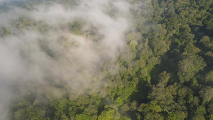 热带景观雨林和山丘28秒视频
