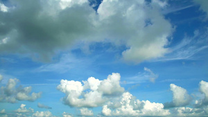 鸟在纯蓝的天空背景和白云下飞翔风向飘动20秒视频