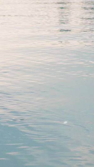 水波纹理世界环保日60秒视频