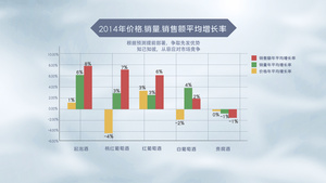 数据统计报告素材28秒视频