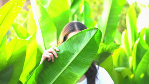 在热带叶子后面秘密揭露脸的女人28秒视频