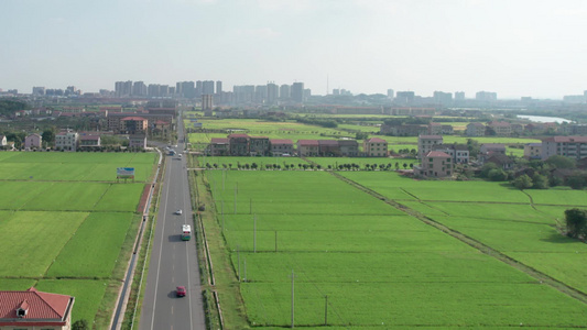 航拍乡村公路稻田视频