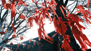 4K拍摄花果山景区寺庙里的许愿红飘带11秒视频