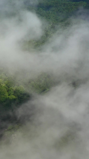 云海中的佛光航拍视频猫儿山24秒视频