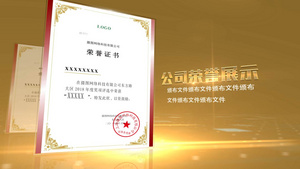 大气金色企业证书展示AE视频模板40秒视频
