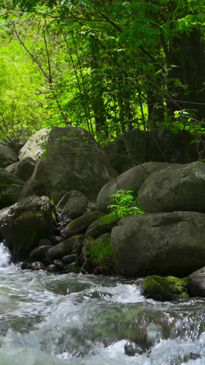山涧溪流动态素材高山流水91秒视频